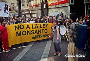 Guatemala : la "Loi Monsanto" en partie suspendue sous la pression des mouvements sociaux (Adital)