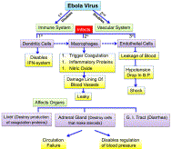 Fig.1 ; Aftab A. Ansari