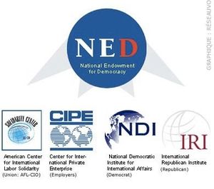 Les Etats-Unis et les ONG : une alliance politique contre la souveraineté des Etats (Stratpol.com)