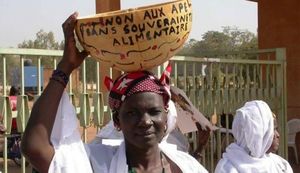 Le libre-échange avec l’UE sera nuisible aux exploitations agricoles ouest-africaines, selon le CNCR (APS)