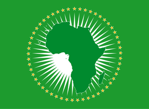 Burkina Faso : l'UA donne 2 semaines à l'armée pour rendre le pouvoir à un gouvernement civil (JAI)
