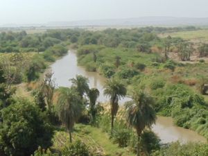 Ethiopia : Large scale killing and deportation of Somali-Issa people in the Awash River (Farmlandgrab)