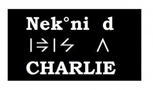 Quand l’attentat de Charlie hebdo pourrait déteindre sur Areva au Niger (Le blog finance)