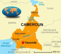 Paris demande à ses ressortissants de quitter les régions nord du Cameroun (APA)