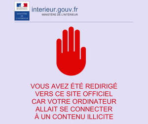 Islamic-News.info censuré pour « apologie du terrorisme » était en réalité un site anti Bachar-al-Assad... (Moutons enragés)
