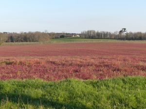 Monsanto : un service entier dédié au discrédit de toutes les personnes s'opposant à eux (Natural Society)