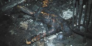 Un corps carbonisé au rez-de-chaussée, à proximité des portes d’entrée.