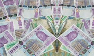 « Le franc CFA freine le développement de l’Afrique » (Le Monde)