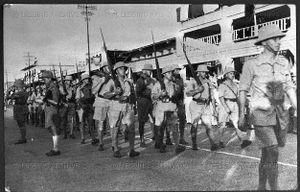 Crimes contre l'humanité. Massacres français au Cameroun (1958-1971)