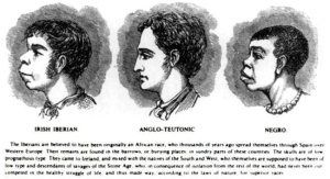 La traite des esclaves irlandais - Les esclaves "blancs" oubliés (Africa Ressource)