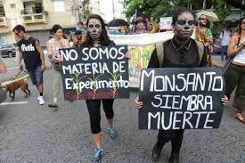 Salvador : l’agriculture boostée par l’abandon de Monsanto (Blog Finance)
