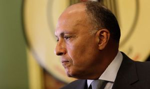L'Egypte demande le retrait immédiat de l'armée turque en Irak et dénonce l'instrumentalisation du terrorisme par des puissances étrangères à des fins d'interventions militaires dans les pays arabes
