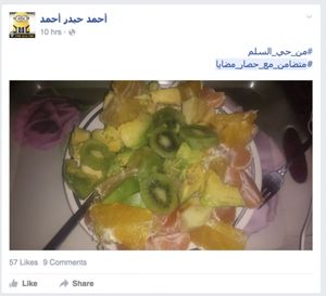 Syrie: Ces internautes qui se moquent de la famine à Madaya (OLJ)