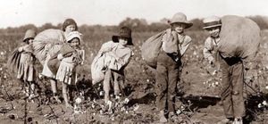 Les esclaves oubliés de l’histoire : la traite des Irlandais (Oped News and Global Research)
