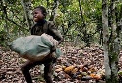 Dénoncer les grandes enseignes occidentales pour lutter contre le travail des enfants (LGS)