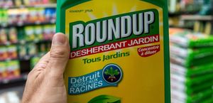 Pesticides : des ONG portent plainte contre Monsanto et l'Europe (Sciences et Avenir)