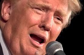 La violence, le racisme et la campagne de Trump (WSWS)