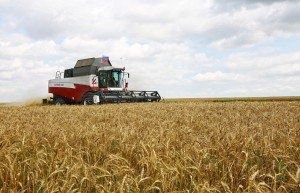La Russie cherche à dominer le marché des aliments biologiques (NEO)