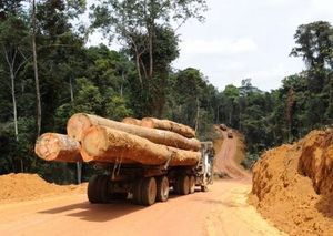 Stratégies de dépouillement territorial: le cas de la défense de la forêt Xochicuautla, état du Mexique (InvestigAction)