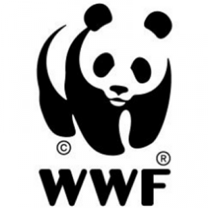 Panda attaqué (Billets d'Afrique)