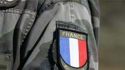 Newsletter n°137