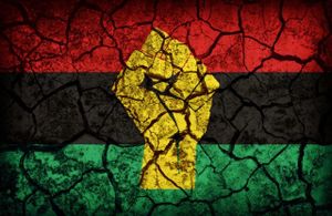 Panafricanisme : après l’engagement, sa parodie (investigAction)
