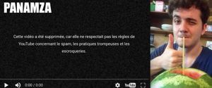 VIDÉO-CHOC DE NICE : YOUTUBE LA SUPPRIME, LE MONDE VOUS PREND POUR DES IDIOTS. (Panamza)