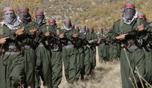 Selon FNA, des terroristes du groupe Al-Quaïda ayant revendiqué les attentats contre Charlie Hebdo seraient entraînés par l'Arabie saoudite pour défendre son territoire