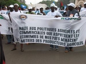 LE PRESIDENT DU SENEGAL AUTORISE LA MANIFESTATION, MAIS ARRÊTE LE PORTE PAROLE DU COLLECTIF NON AUX APE LIBEREZ GUY MARIUS SAGNA (Collectif Afrique)