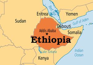 L'armée éthiopienne se retire de villes en Somalie (Al-Manar)