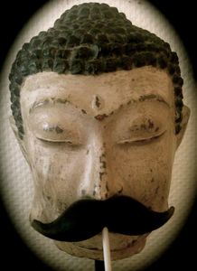 La moustache musquée