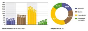 Rationalité des coûts et actes de foi dans l'industrie de l'électricité