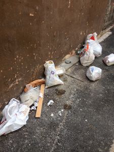 Vendredi 6 juin: ils sont forts, les bougres!