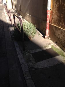 Jeudi 1er janvier: l'art d'utiliser les restes.