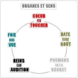 Shiatsu ; l'expression, le toucher