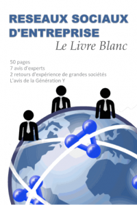 Livre blanc "Reseaux sociaux d'entreprise"