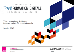 ENQUETE SUR LA TRANFORMATION DIGITALE EN ENTREPRISE