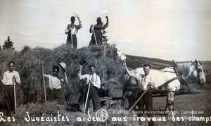 U.F.R. de jardinage