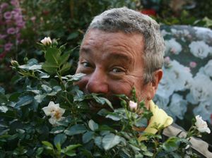 Des roses pour égayer votre salon