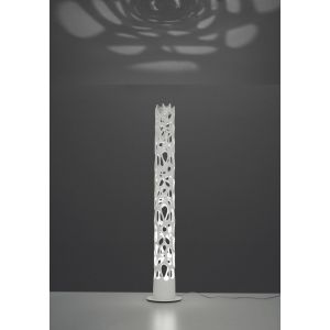 Lumière... On tourne !
