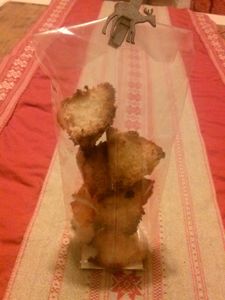 Rocher noix de coco