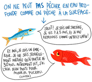 Le succès fou d’une pétition sur la pêche