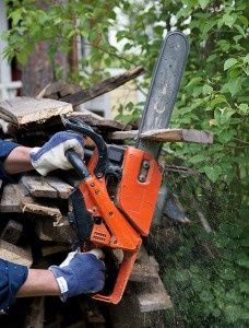 l’importation de main d’œuvre dans le secteur forestier