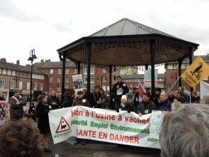 LAIT : Une justice à deux vitesses au bénéfice de Ramery et de ses 1000 vaches