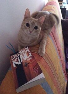 Shining - Stephen King