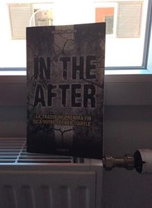 In the After - Demitri Lunetta