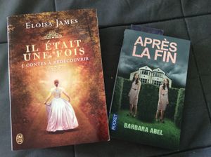 Apres la fin - Barbra Abel