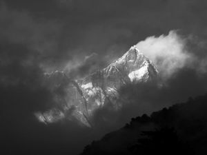 Du noir et blanc....