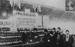 (Article) Les syndicats anti-phylloxériques du canton de Beaujeu