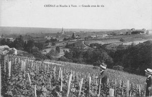 (Article) L'occupation des sols dans le canton de Beaujeu au XIXème siècle
